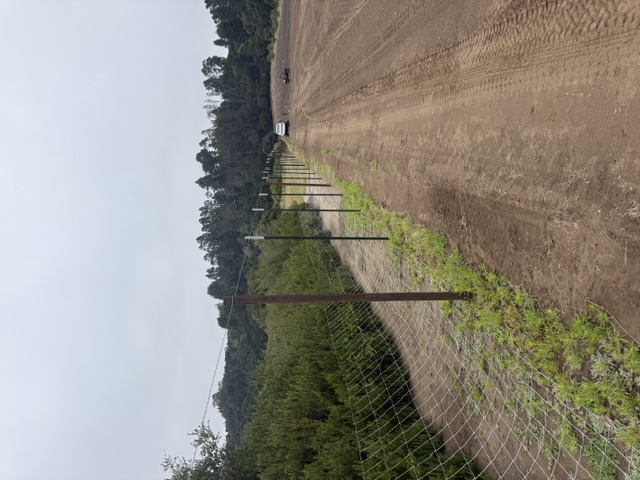Graded access road and fence line on a hunting property