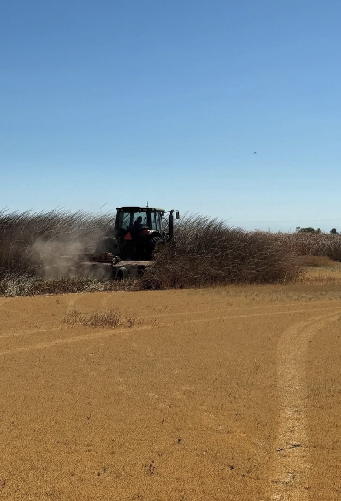 Tractor working a field during routine property maintenance